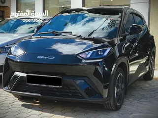  3 بي واي دي سيجول 405 Fly موديل 2024 قصه 2025