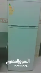  5 عين الباشا