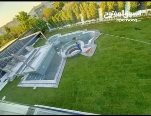  12 نجيل طبيعي بسبيلم بيور