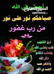  5 مترجم فوري ايطالي عربي
