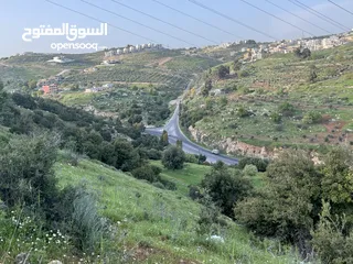  1 قطعه ارض ب منطقة بدر مساحة 2 دونم