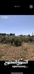  9 ارض للبيع في منطقه السليحي