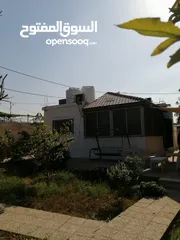  3 بيت مزرعة (ترخيص سكن) مزروعة شجر مثمر مع بير في منطقة الاغوار الوسطى ظهرة الرمل
