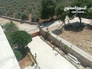  4 منزل دوبلكس للبيع مع مزرعه  شجر مزروع مثمرعدد 25 و شجر زينه 25 كرفان 70م يحتوي على مطبخ حمام وصاله