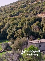  4 قطعة أرض 2 دونم بإطلالة خلابة في محافظة عجلون / عين جنا بسعر 18 ألف دينار فقط