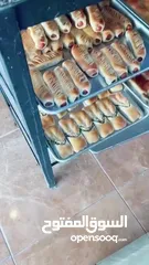  10 معجنات بسعر الجمله ...................
