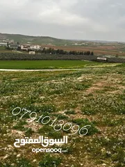  4 بسعر مغري للبيع ثلاث دنم ونصف منطقة بلعما الزنية قوشان مستقل من المالك مباشرة بسعر مغري جدا