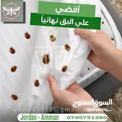  15 رش حشرات للمنازل والمحلات مع ضمان النتيجة وسرعة الاستجابة وكفالة