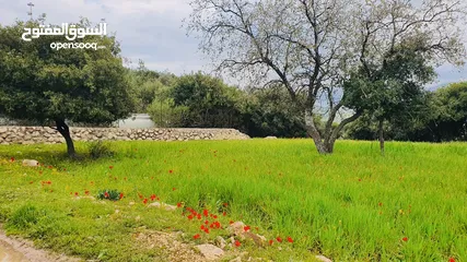  2 4 دونمات جلعد قرب مطعم نسيم الجبل