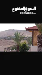  21 مزرعة للبيع بيرين منطقة الكمشة
