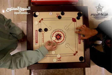  10 مزرعه النجوم