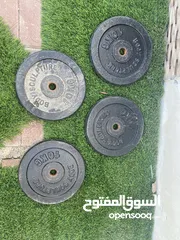  1 4 10kg plates