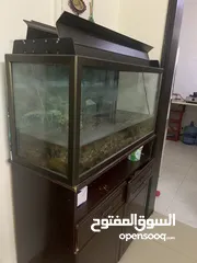  2 Fish tank/ Aquarium