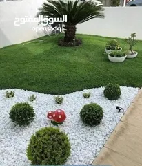  10 الحديقه والمنزل جميع انواع الاشجار المثمرة والأشجار الحرجيه ونباتات الزينة
