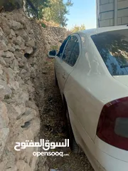  6 سكودا رمش أصل نيو