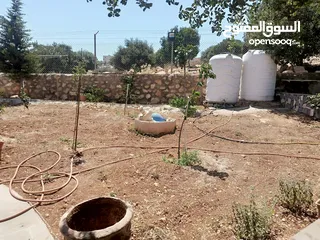  20 منزل دوبلكس للبيع مع مزرعه  شجر مزروع مثمرعدد 25 و شجر زينه 25 كرفان 70م يحتوي على مطبخ حمام وصاله