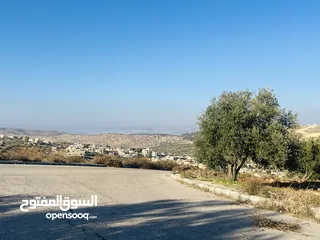  11 ارض للبيع في الكمشه بالقرب من شارع الاردن و مطعم قصر الجبل مميزه جدا