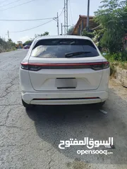  17 hounda e: NP1 2023