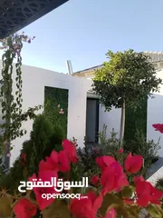  8 مزروعة مميزة محاذية للحرش مرتفعة وكاشفة