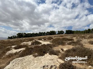  4 فرصه استثماريه جميله ارض للبيع في الكمشه جميله ومطله ومرتفعه
