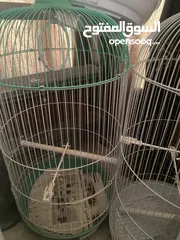  1 ثلاثة أقفاص للطيور حجم كبير