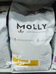  3 اكل قطط kitten molly 2k