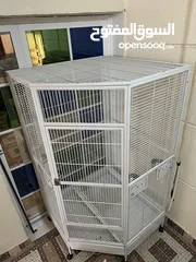  3 parrot cage for sale