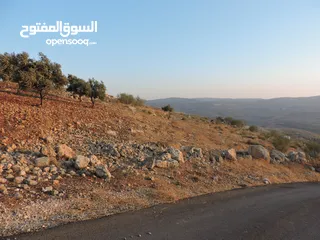  3 قطعة أرض مميزة في أجمل مناطق كفير جرش