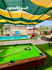  7 مزارع وا شليهات لليجار