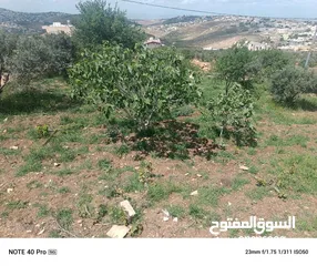  4 ارض للبيع في حبكا