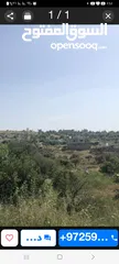  1 ارض للبيع في منطقه  عين يبرود مساحه 12دونم وكمان 8دونم كوشانين