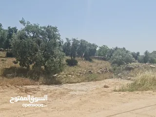  1 ارض للبيع في اجمل مناطق عمان [بدر الجديده] 650م حوض الكاشف