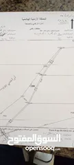  1 أرض للبيع في معان بسعر مغري