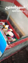  2 حوض سمك زجاجي بحاله ممتازه