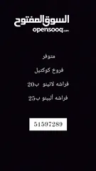  1 للبيع فروخ بادجي عس ربوه قويه