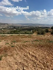  2 ارض للبيع جرش زقريط ميسر ذهبون 4600متر مسنسله مزوعة زيتون كبير فوق منتزه طلتنا غير