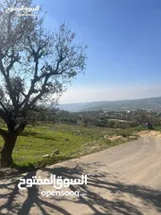  5 ارض للبيع في بدر الجديدة دونم عاليه جداً اطلاله بانورامية كاشفة فلسطين والسلط منطقة فلل