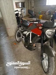  5 Majed  ماجد majeb
