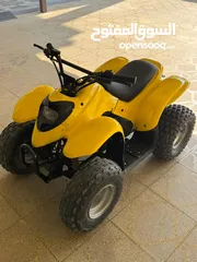  3 Cobra 100cc