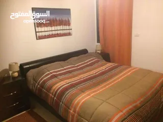  6 شقة مرتبة مفروشة للايجار