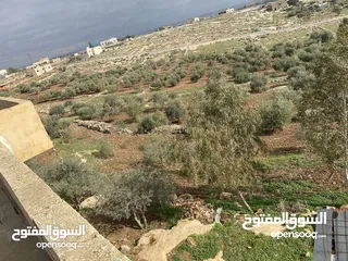  2 أرض مساحة 6دونمات مع بيت 230 متر