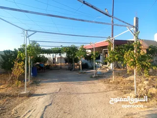  26 بيت مستقل تقريبا مزرعه مشيكه كامله مزروعع عنب وحمضيات مساحه البناء 160م وغرفه خارجيه 40م الواقع احلا