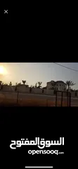  3 ارض للبيع في محافظة اربد في مدينة الرمثا من المالك مباشرة قرب منتجع النشامى