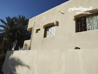  15 بيت عربي مؤلف من 8 غرق 2 صاله 4 حمام للايجار في عجمان سكن عائلي
