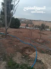  15 بيت للبيع في قريه دليله المطيرات شرق مادبا