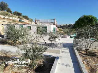  20 مزرعه للبيع