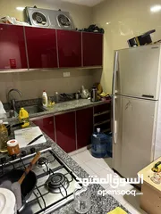  3 2 bed room flat for ladies ,doctors near squ