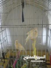  4 مخاليف كنار