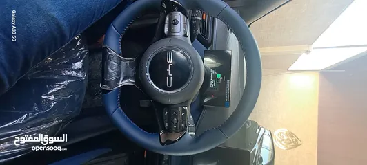  12 405 k  BYD SEAGULL FLYING 2024