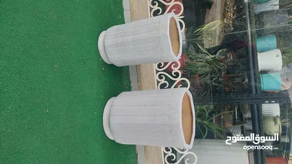  12 قواوير زراعية بسعر الجمله